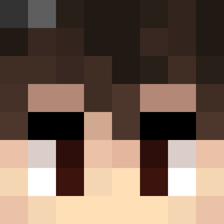 SXLink2020's skin