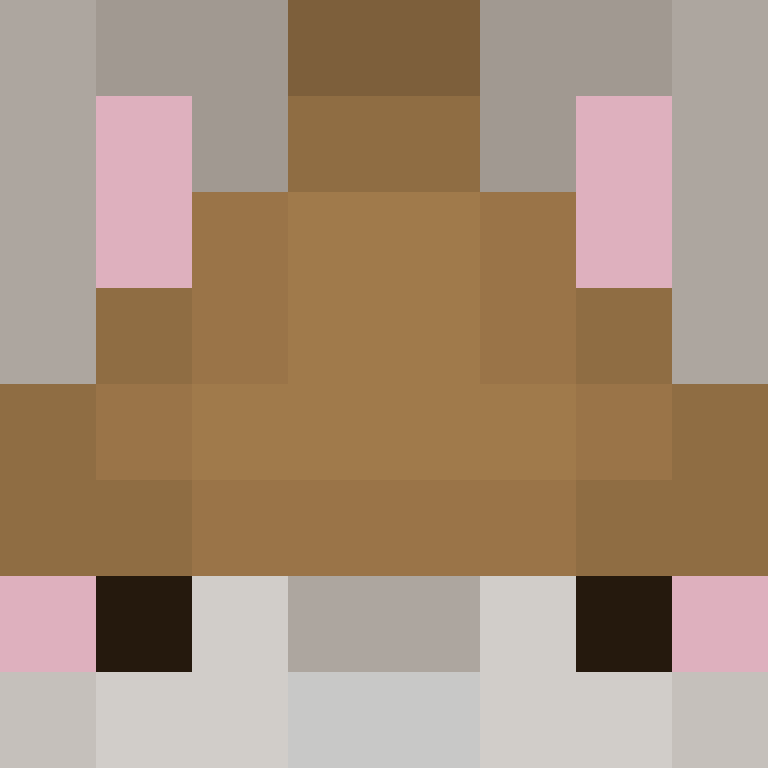 Nashinmon's skin