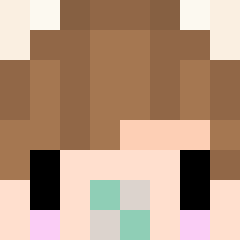 8aca680b22461340's skin