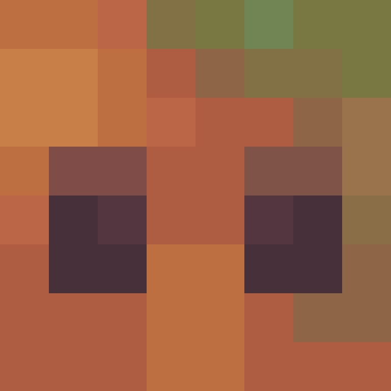 The_Protagonist_'s skin