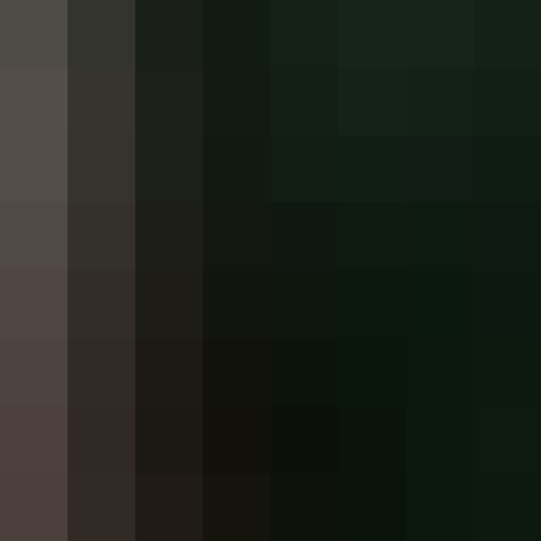1nov's skin