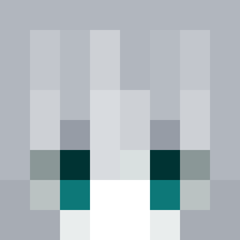 qw_t's skin