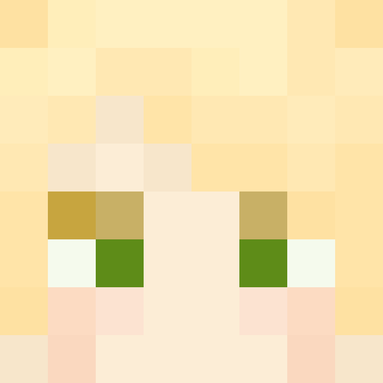 CraftRaven2's skin