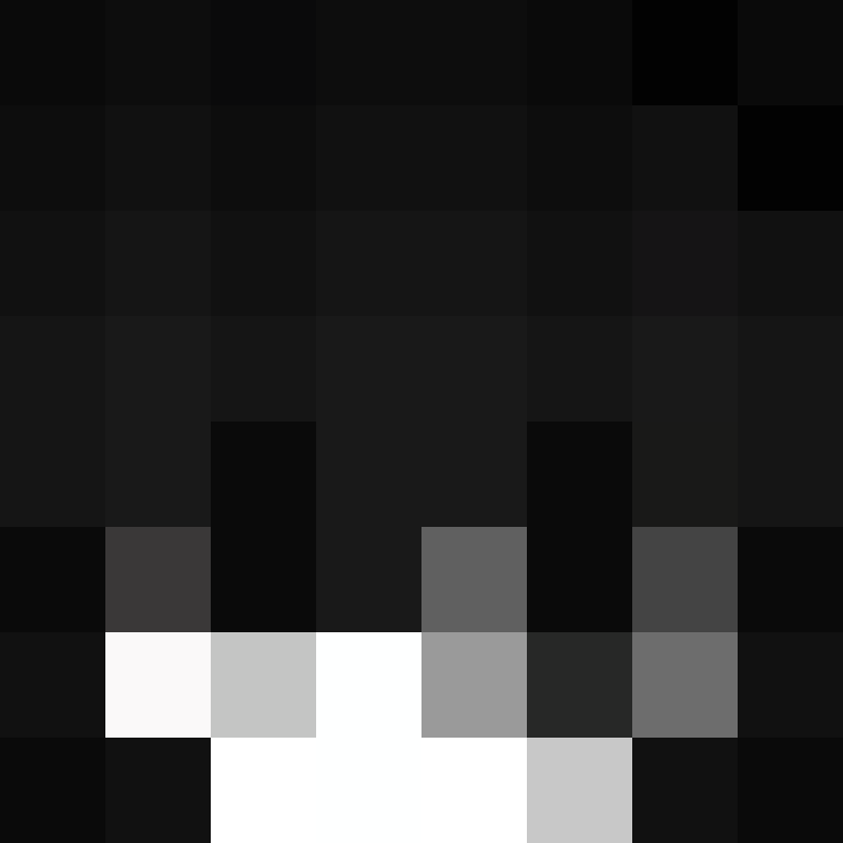 mallaspina's skin