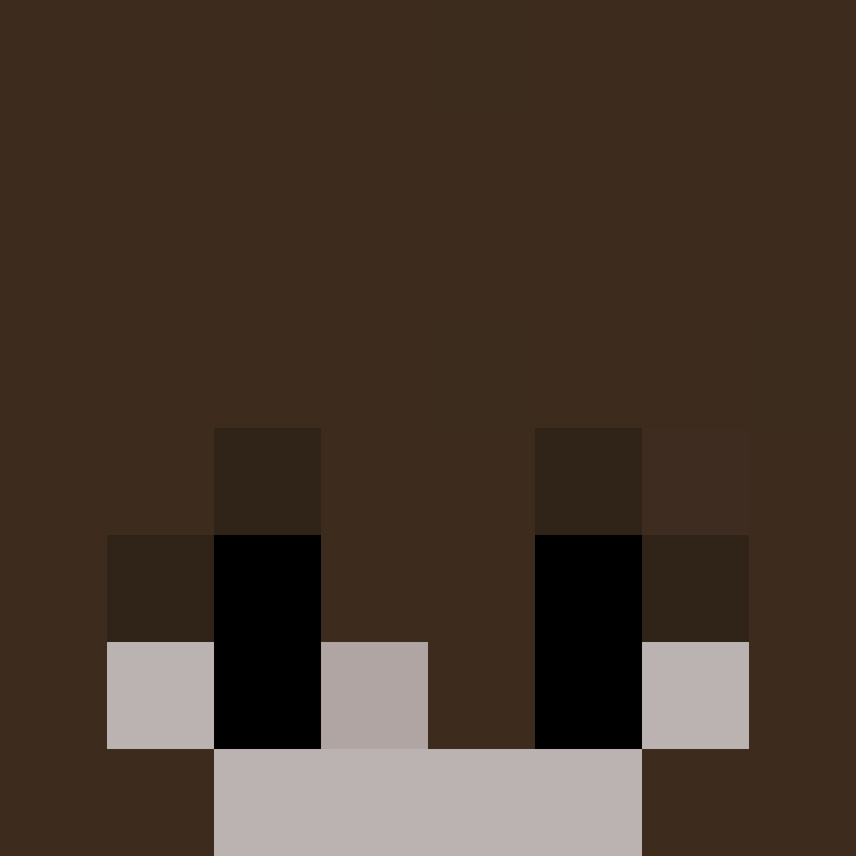 2sok's skin