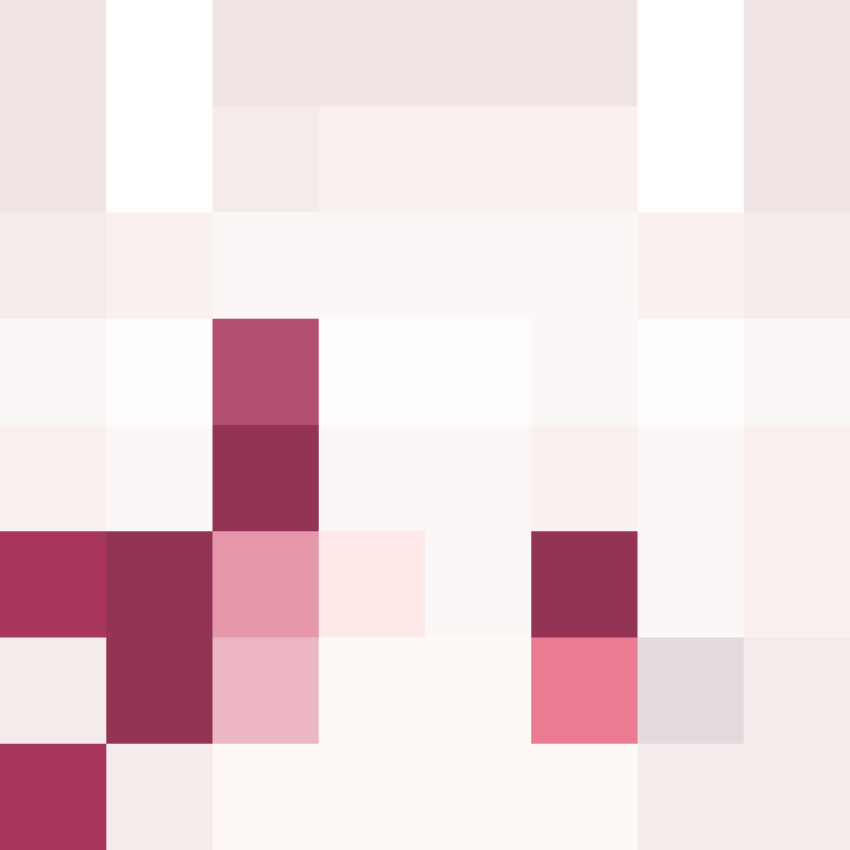 RuimMC's skin