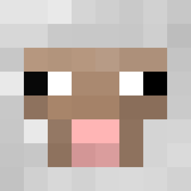 SkinEnthusiast's skin