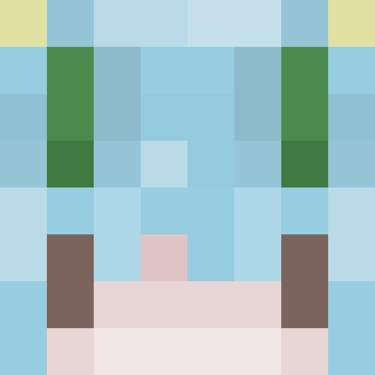 SkinEnthusiast's skin
