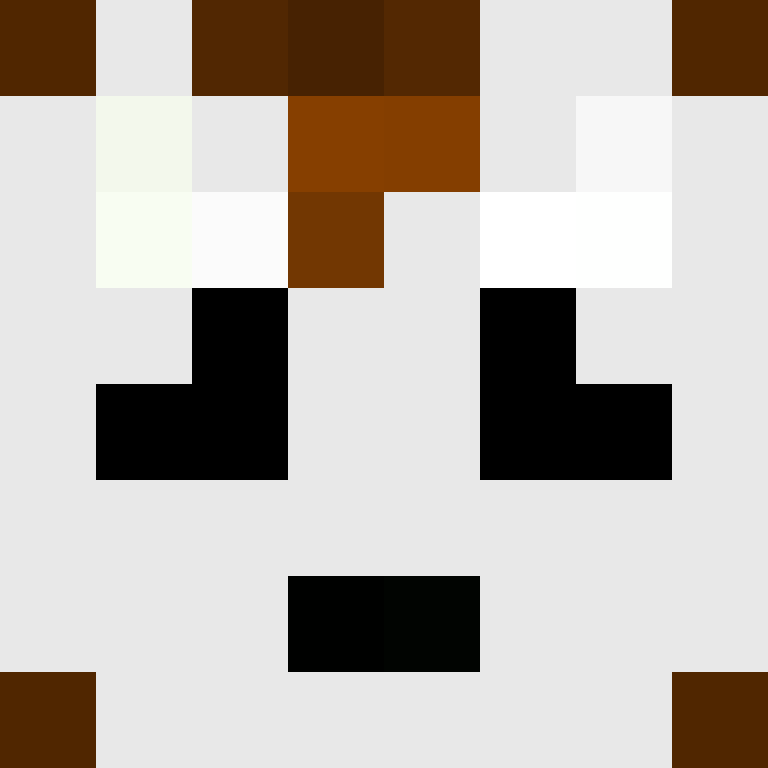 FlameDashPL's skin
