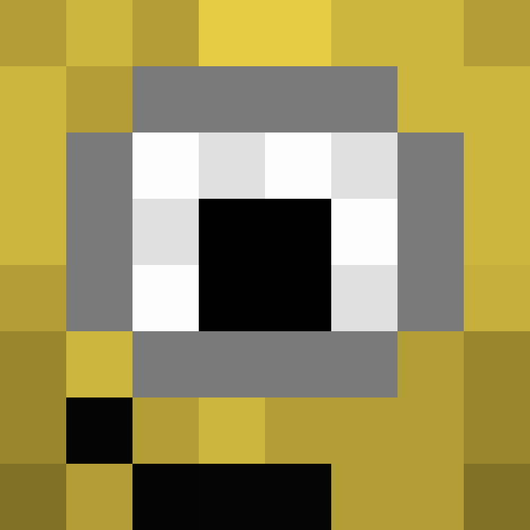 Somtoday's skin