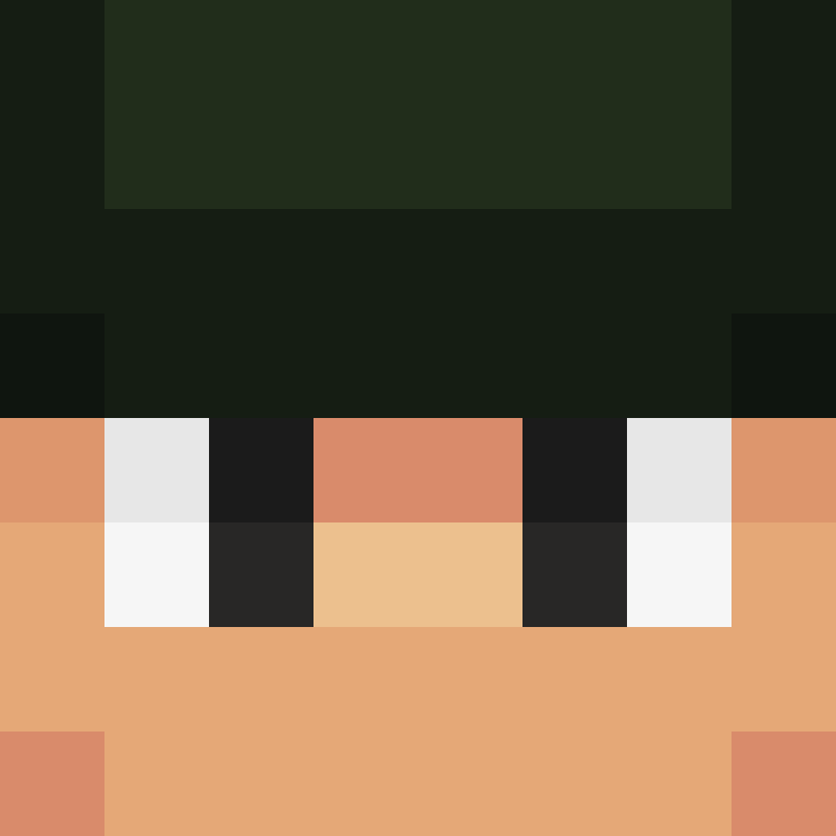 MasterFenixJavi's skin