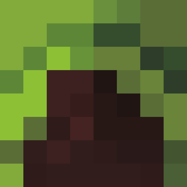 stealman799's skin