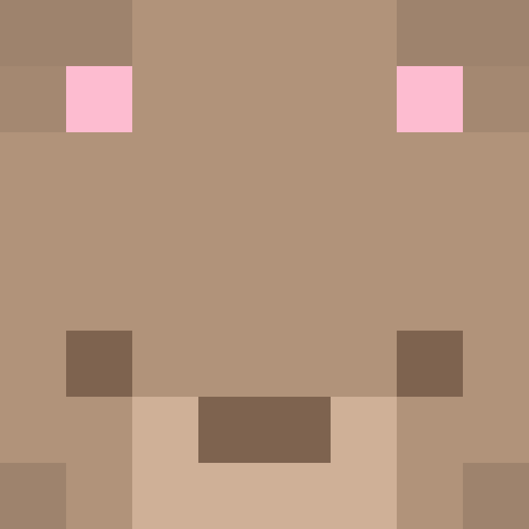 dongok's skin