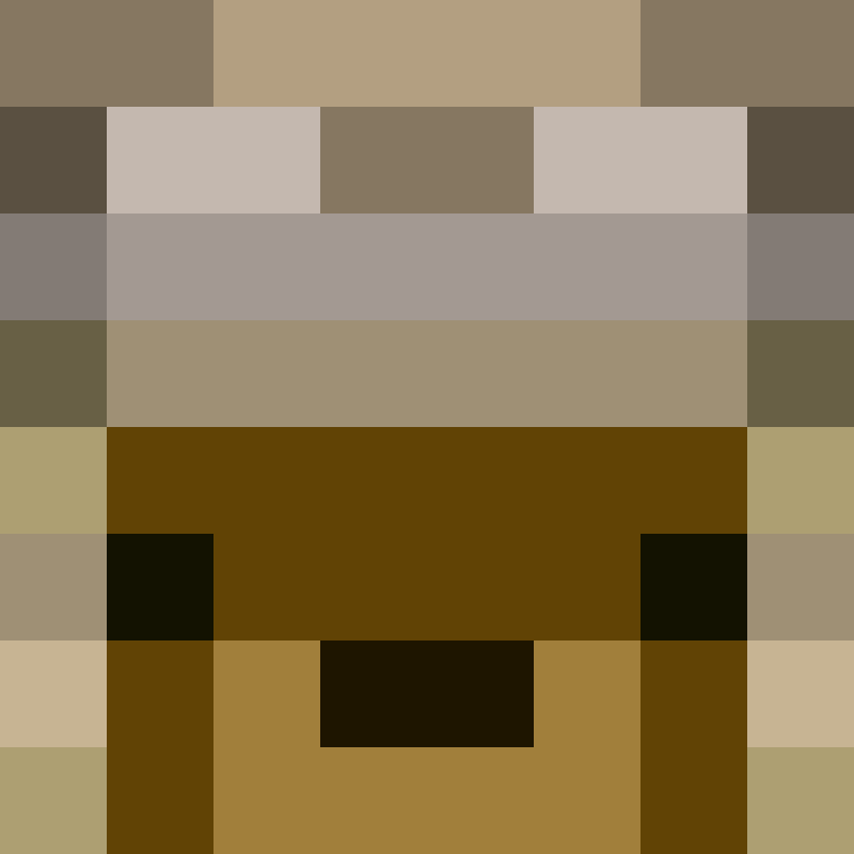 chachoblocks's skin