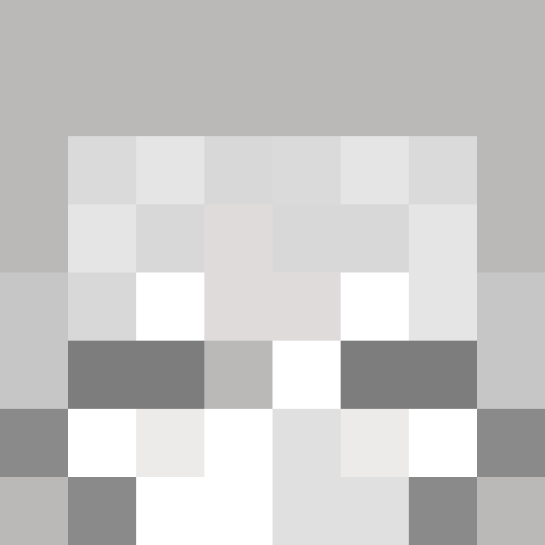 zenprogaming's skin