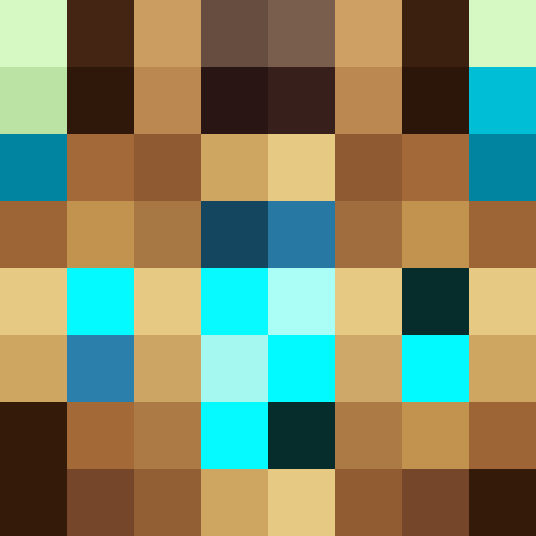 Diabetes360's skin