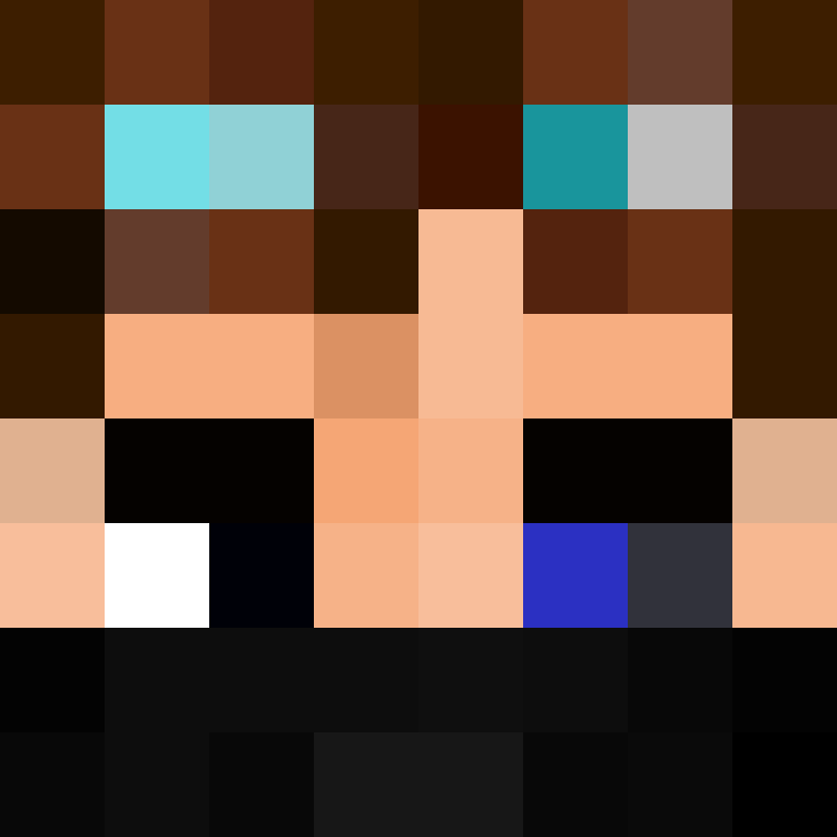 Mr_Miner416's skin