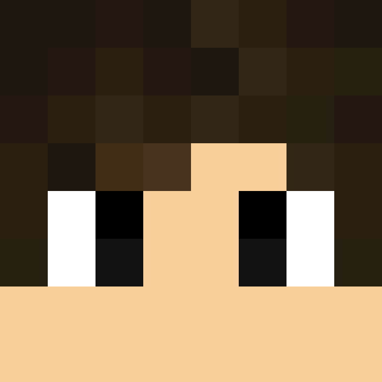 MyLanGamesYT's skin