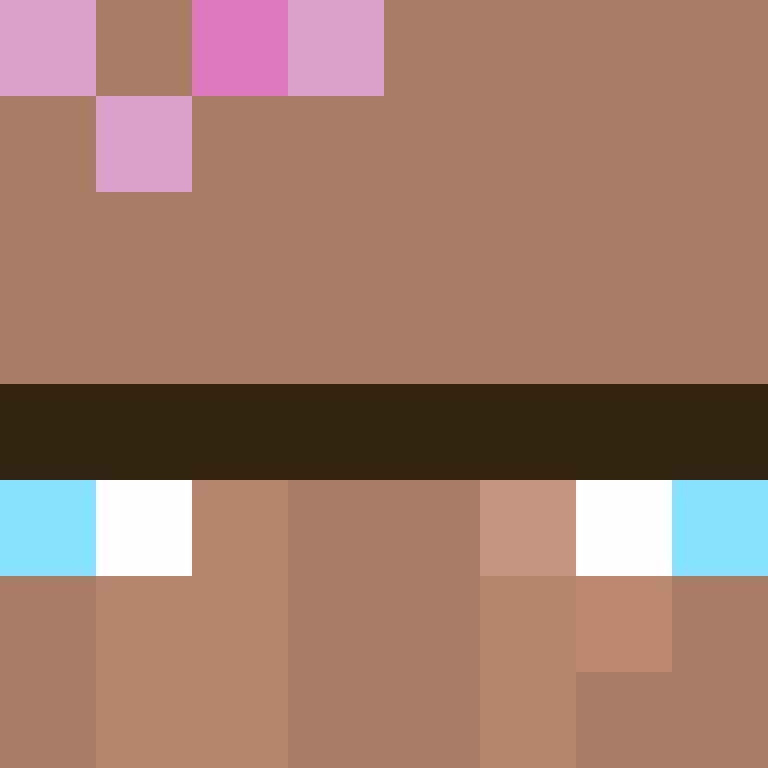 HanTy14's skin
