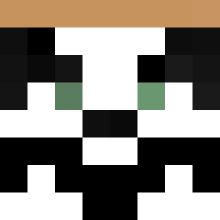 ninjaorange95's skin