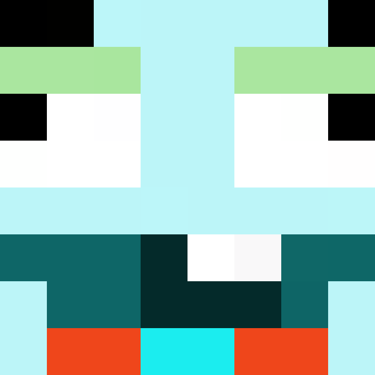 209d's skin