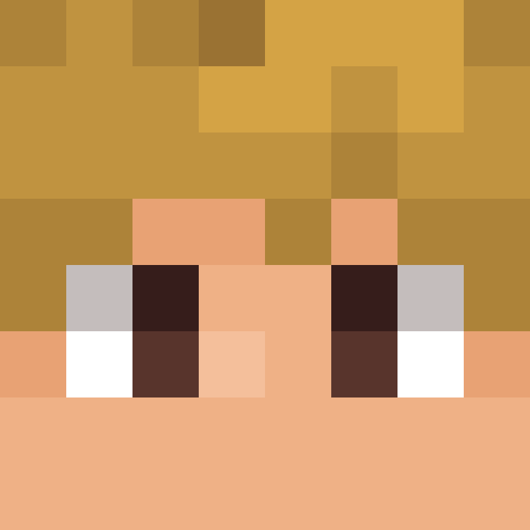 RicZim2Fly's skin