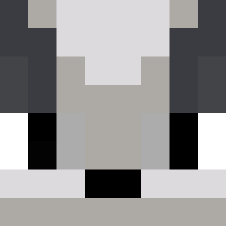 PauBru's skin