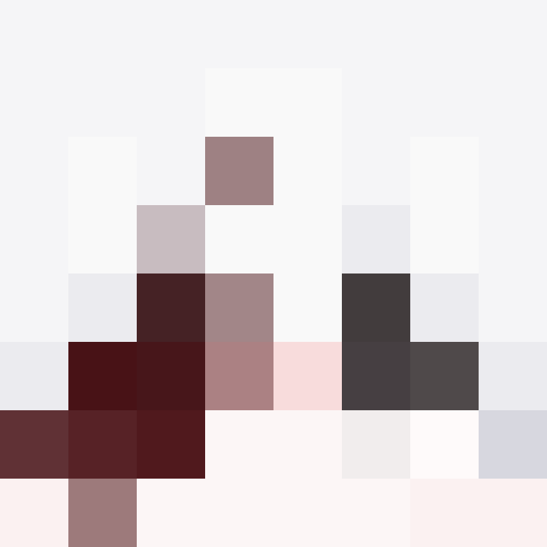 premiumbroom's skin