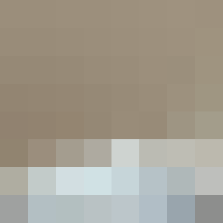 Meezil's skin