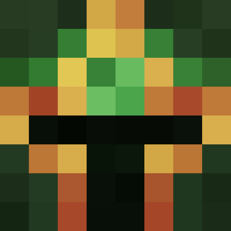 ARONGX2020's skin