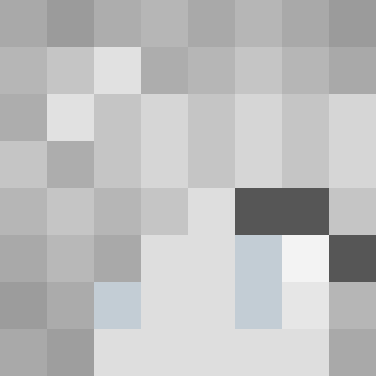 Garros's skin