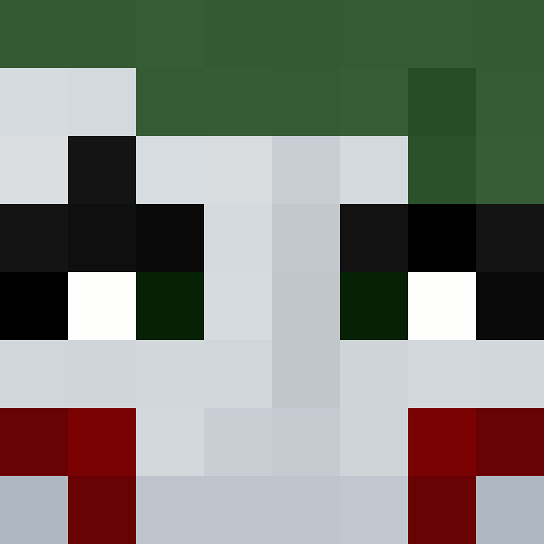 RptZz's skin