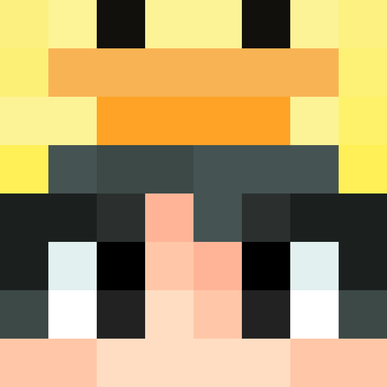 8aca680b22461340's skin