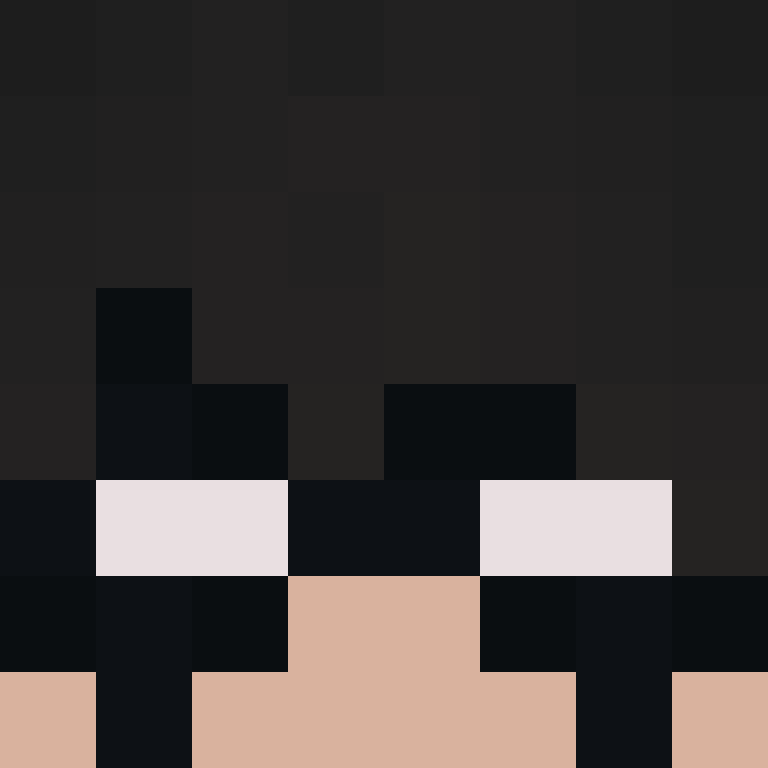 deminecrafterlol's skin
