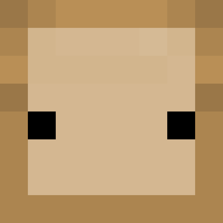 wiredframe's skin