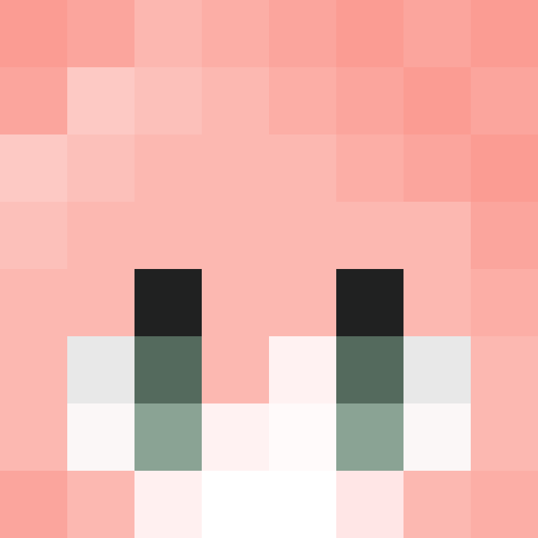 packetinjector's skin