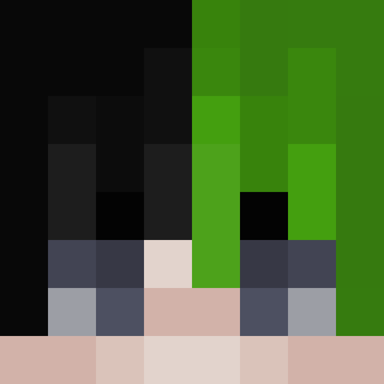 CatRodder's skin