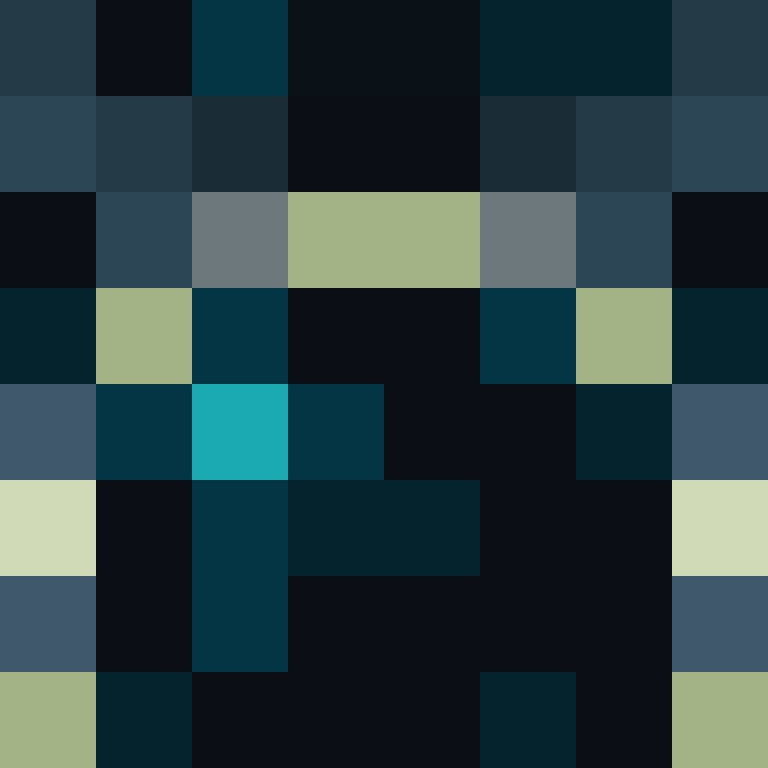 Ninjaadvv's skin