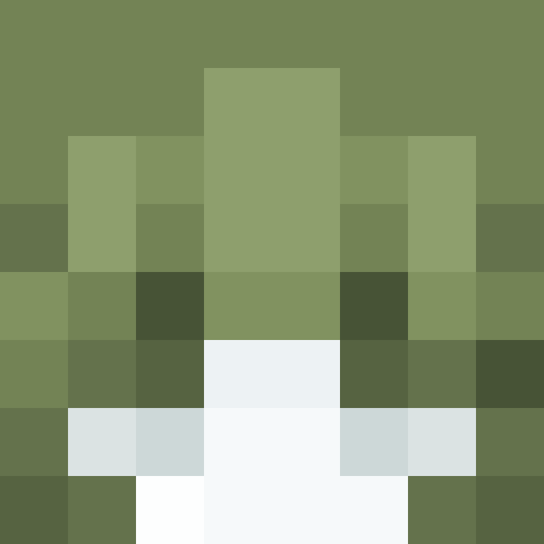 fefeNox's skin