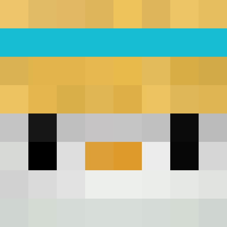Sus010's skin