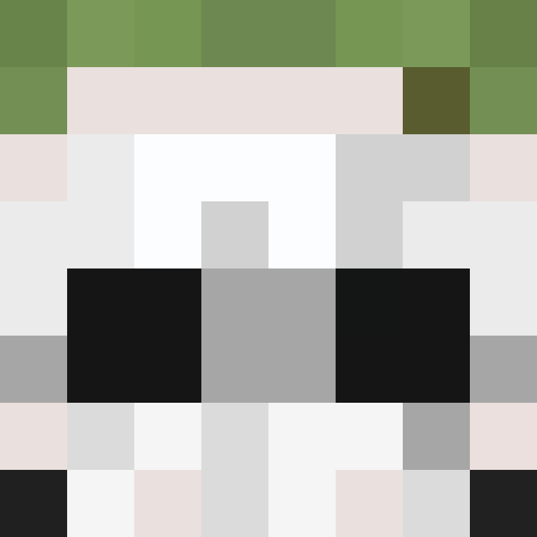 DonaldTrump42's skin