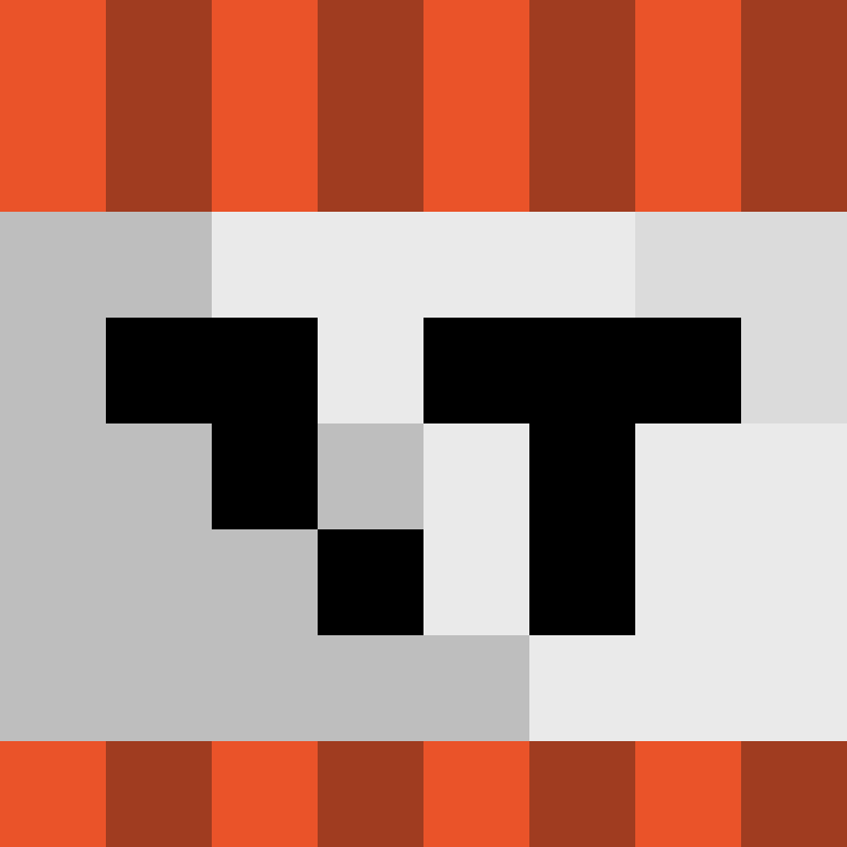 NikSkayGaming's skin