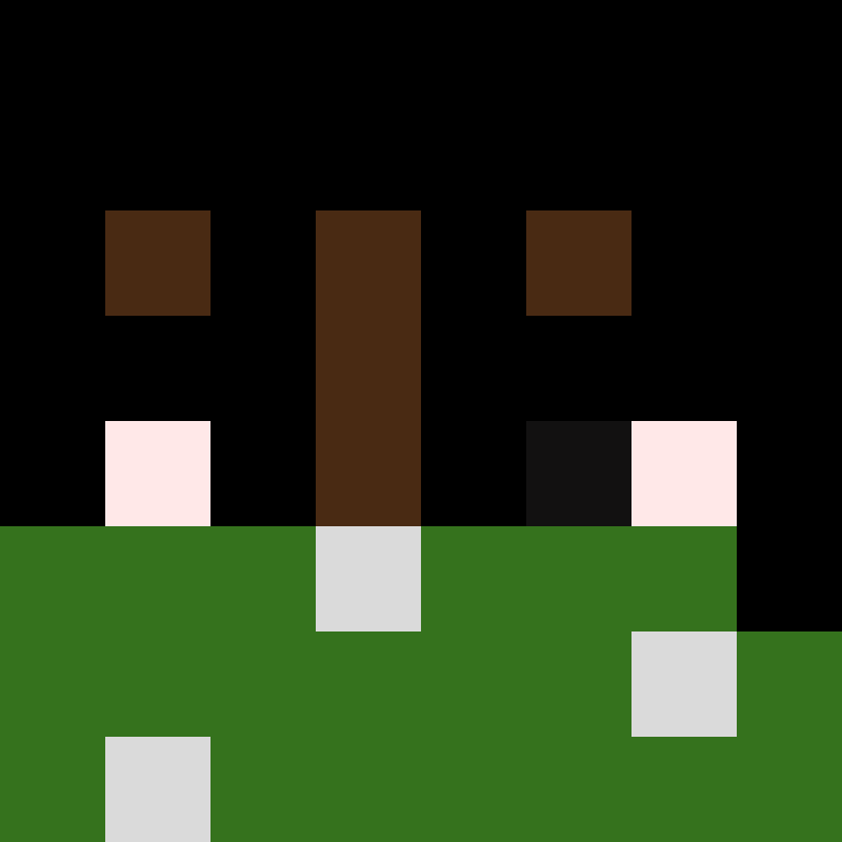 Q1sanoz's skin