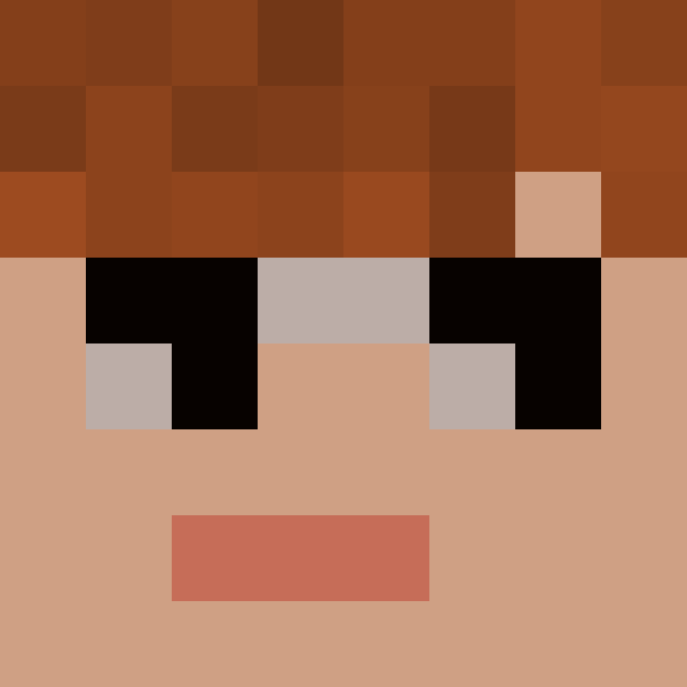 R0NK1NO's skin