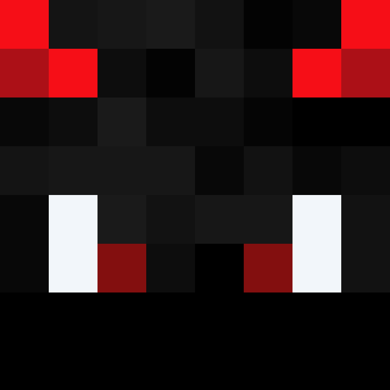 XrversX's skin