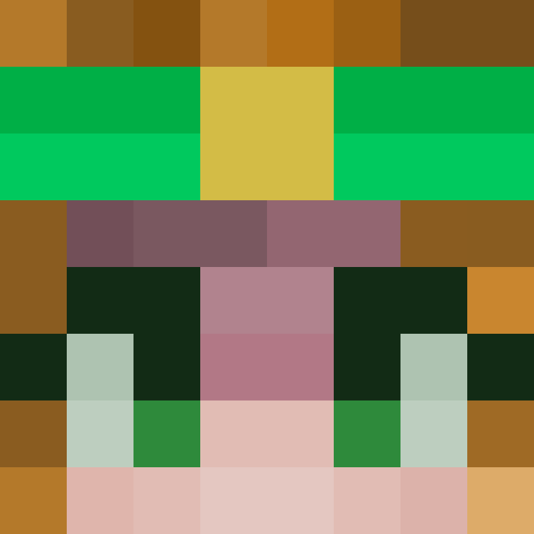 1bus's skin