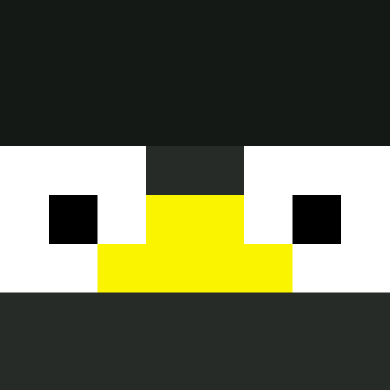 StunWebs_'s skin