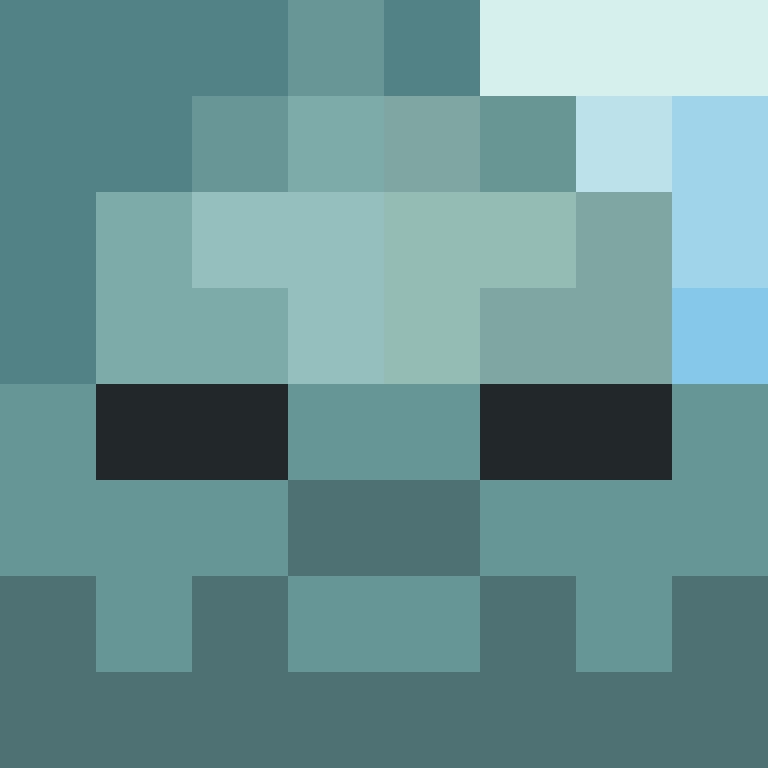 z3ebs's skin