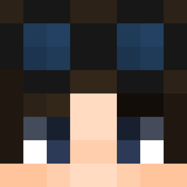 deminecrafterlol's skin