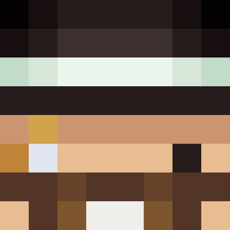Mince_gaming's skin